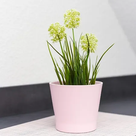 Mein Urlaubshaus Apartment *