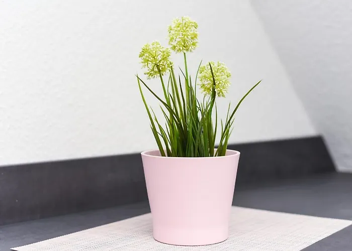 Mein Urlaubshaus Lejlighed *